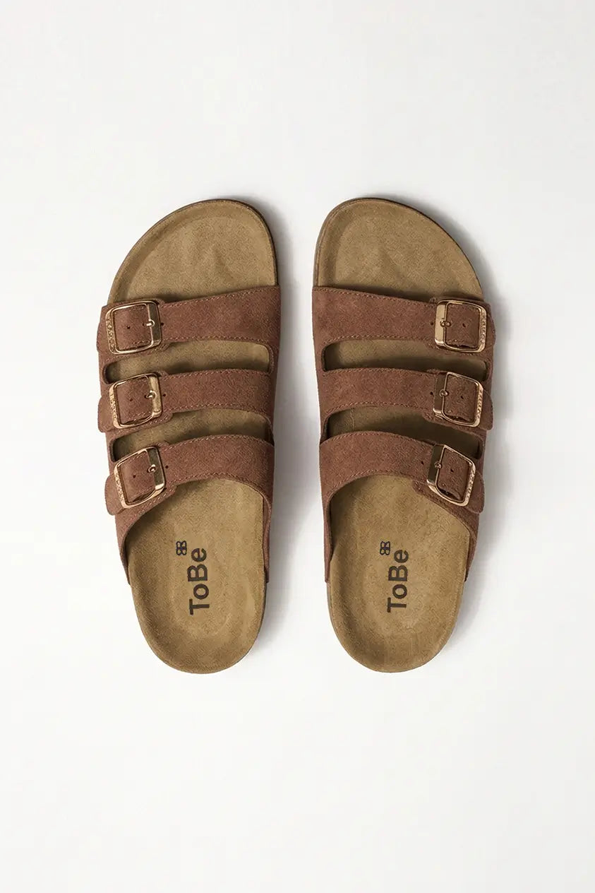 Palma Marron